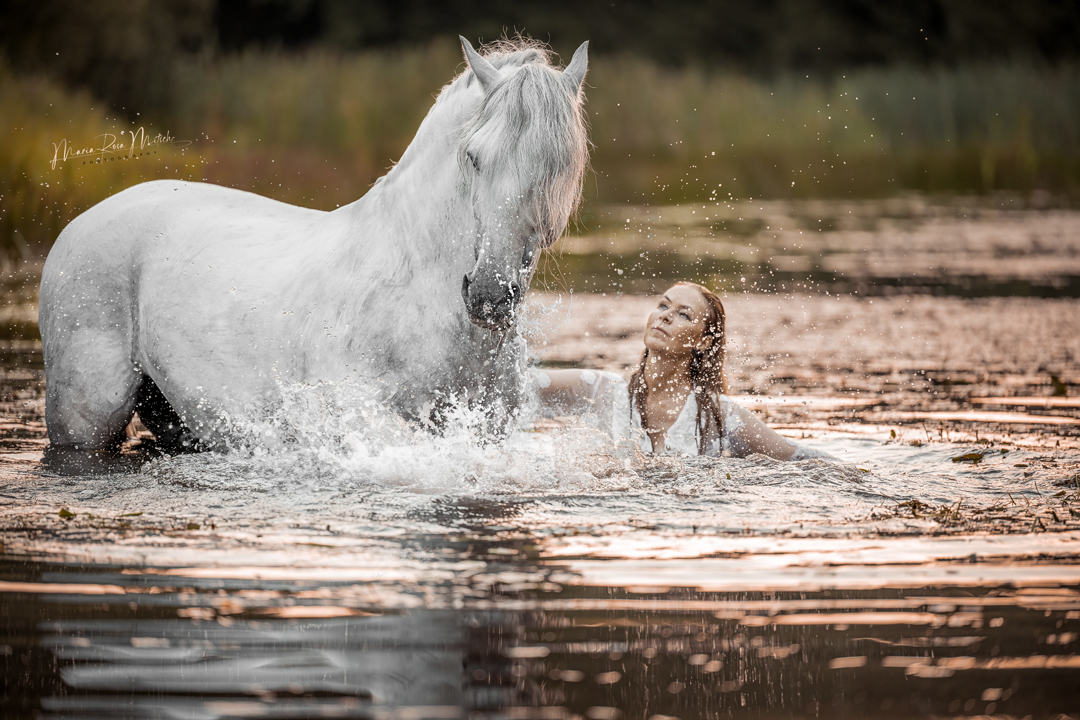 Impressionen Mensch & Tier