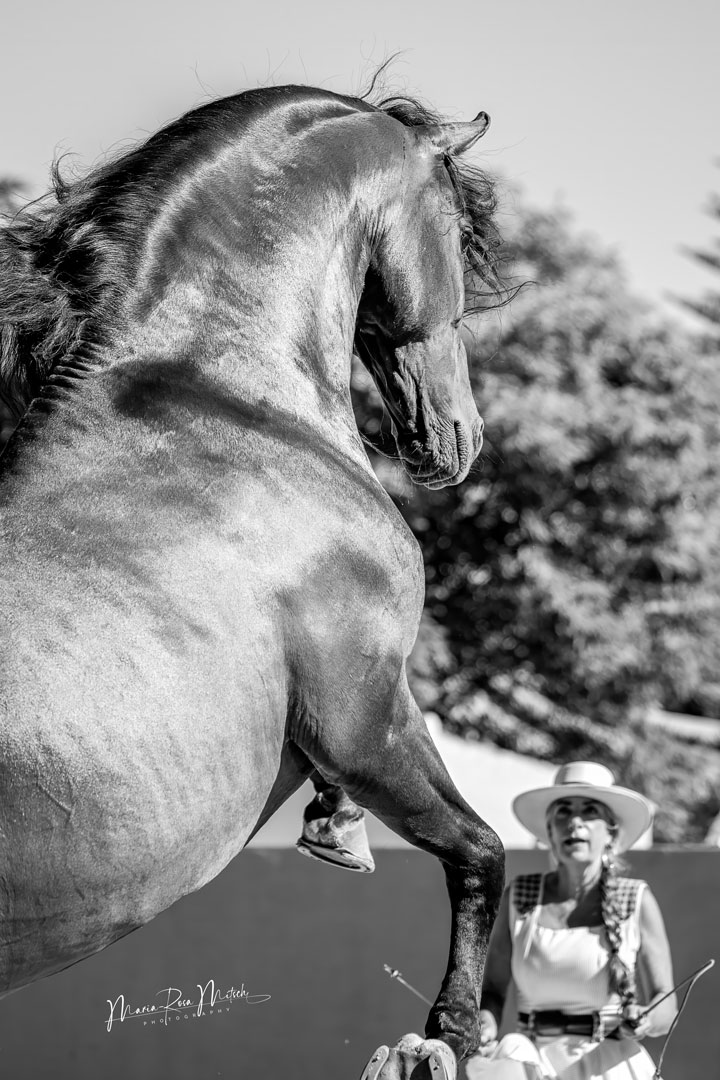 Impressionen Mensch & Tier